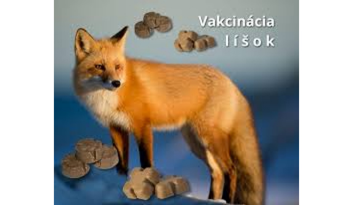 Jarná kampaň 2025 orálnej vakcinácie líšok proti besnote