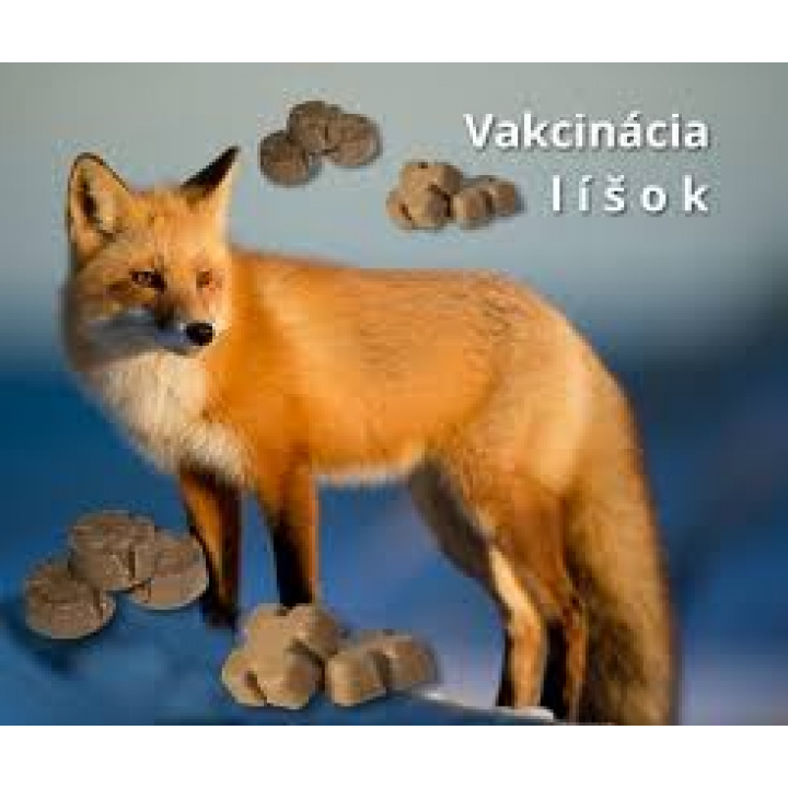 Jarná kampaň 2025 orálnej vakcinácie líšok proti besnote